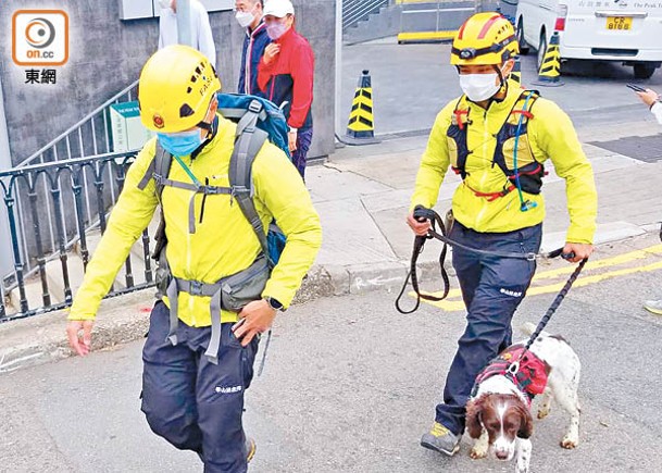消防搜救犬到場協助。