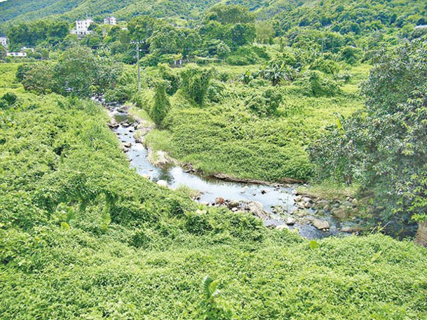 林村河部分位置仍未開發。（綠色力量提供）