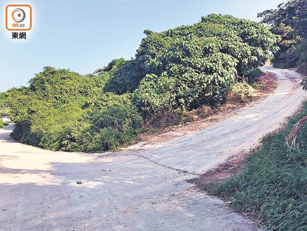 相思灣村的違建道路以石屎建成，有人鋪上黃泥掩人耳目，大雨過後原形畢露。