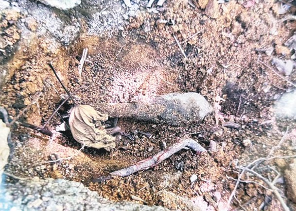 二戰迫擊炮彈埋在沙泥間。