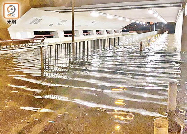 本港受極端天氣影響，蒙受巨大損失。