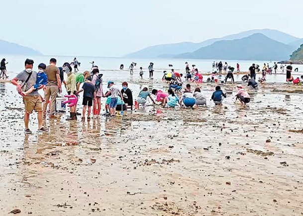 烏溪沙：海星灣昨午一度有過百人在場掘蜆。（讀者提供）