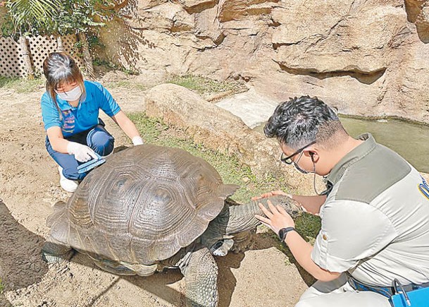 海洋公園培訓69員工  貼身照料動物