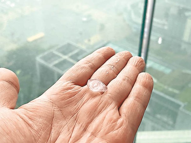 2021年9月本港去年9月經歷落雹異象，市民攝得如珍珠般大小的冰粒從天而降。