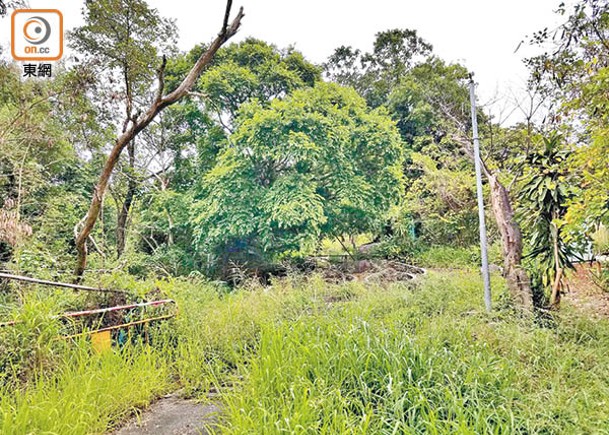 元朗近丹桂村擬建公營房屋，用地原屬綠化地帶。（蘇偉明攝）
