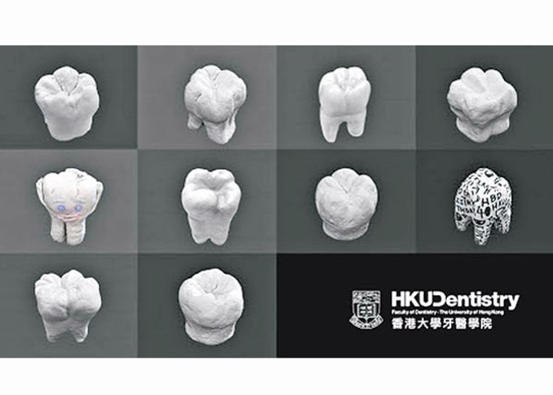 港大牙科網上體驗課  中學生製臼齒模型