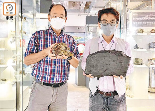 港發現兩古生物化石