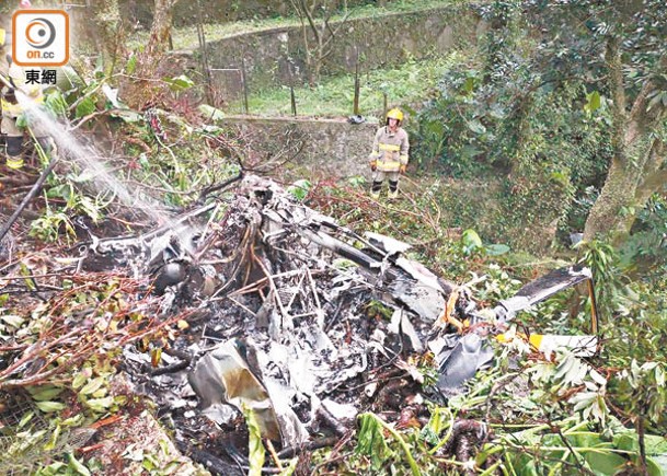 出事直升機墜落在嘉道理農場之山坡。