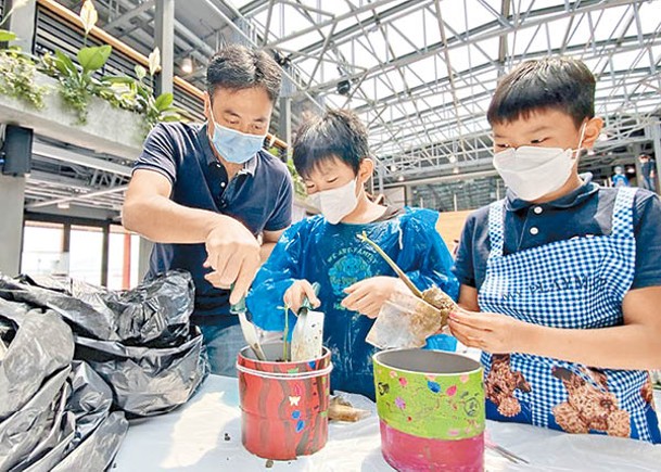 紅樹種植計劃邀請東涌區內小學生種植紅樹苗。