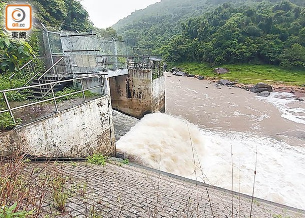 大埔：現場水流湍急。（趙瑞麟攝）