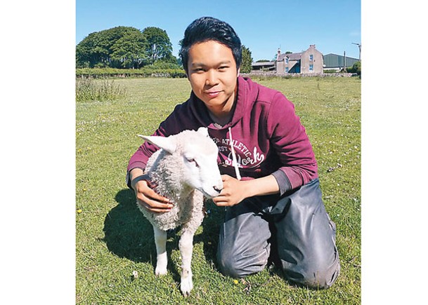 唐志杰實習時曾照顧不同動物。