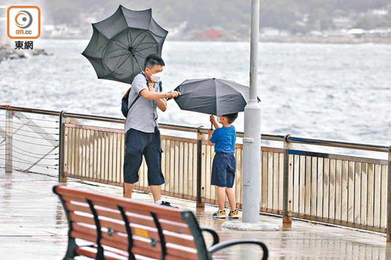 「暹芭」風力強勁，本港高地及外島多處錄得逾百公里的最高風速陣風。