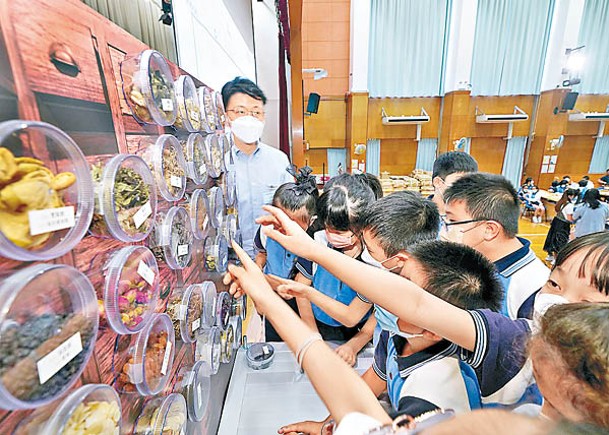 愛秩序灣官立小學設「中華文化體驗日」，讓學生認識中醫中藥。（受訪者提供）