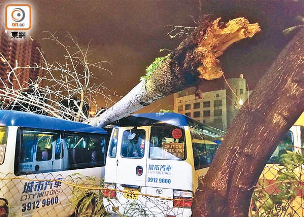 木蘭吹塌大樹 擊毀6車