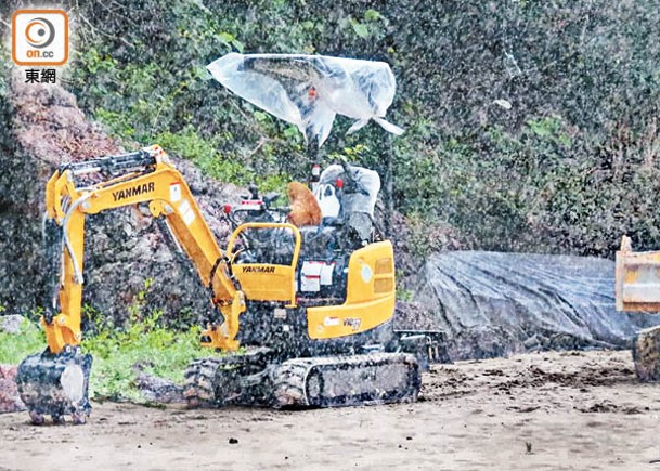 自去年起本報已發現工程車輛闖入鹹田灣的西貢東郊野公園範圍。