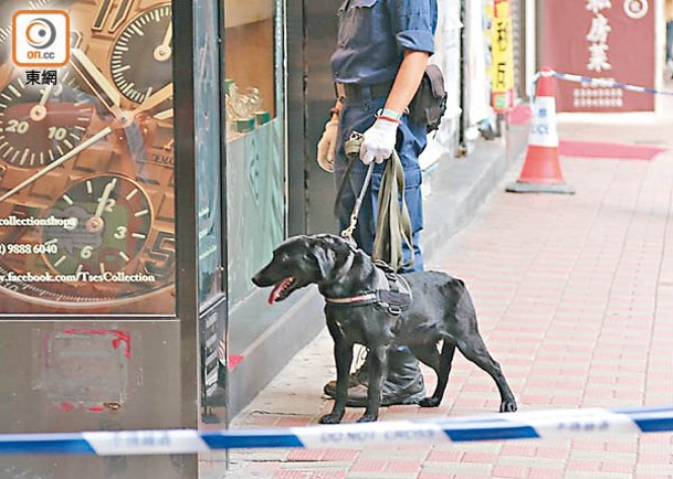 警犬奉召協助搜索。