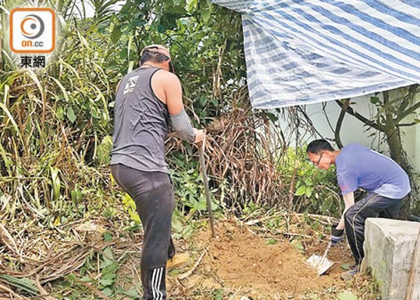 相思灣村村霸伐林建私路  裝假狗鋪黃泥做騷  地政認裝天眼嚴防違法動土