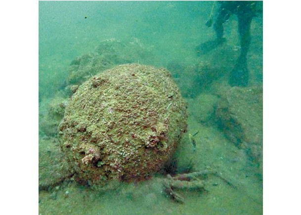 藏於海底逾70年的英軍水雷。