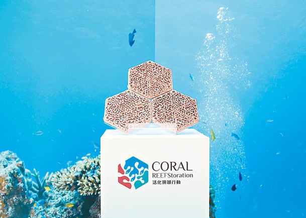計劃以赤陶製珊瑚礁盤種植珊瑚。