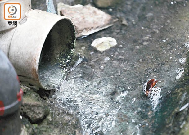 政府將糾正污水渠錯駁問題。
