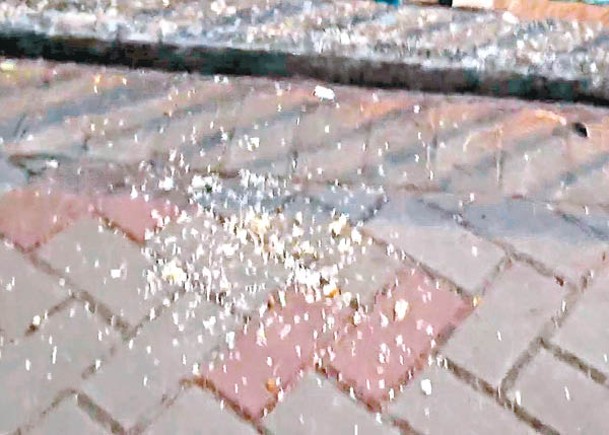 屯門：有人疑灑米在地上餵飼動物，但惹來老鼠。