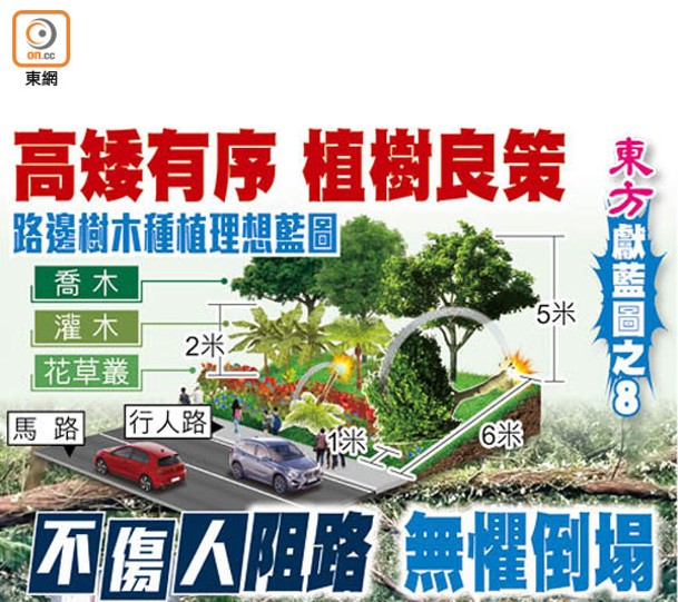 東方早前向政府獻「路邊樹木種植理想藍圖」。