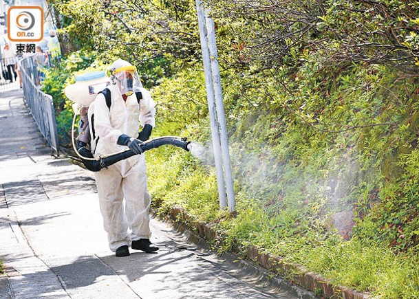 本港9月份白紋伊蚊誘蚊器指數回落。