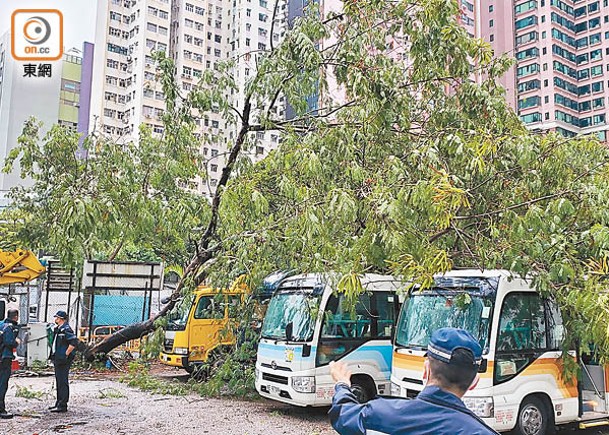 尼格橫掃  處處塌樹毀車堵路