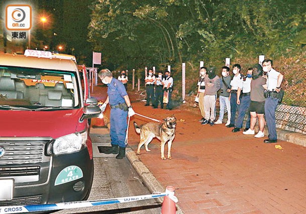 旺角：警犬協助搜證，被捕的士司機（後排左二）及乘客（後排右二）在場助查。（沈厚錚攝）