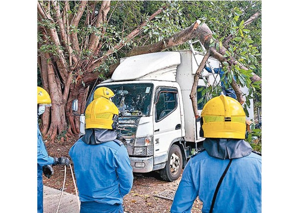 沙頭角公路塌樹擊中貨車