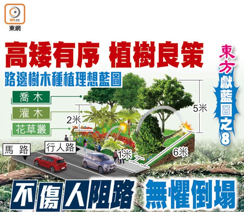東方傳媒機構早向政府獻「路邊樹木種植理想藍圖」。