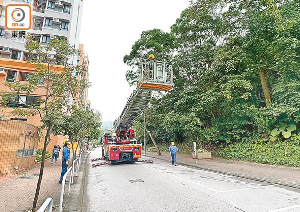 消防架起升降台拆除蜂巢。（吳鎮興攝）