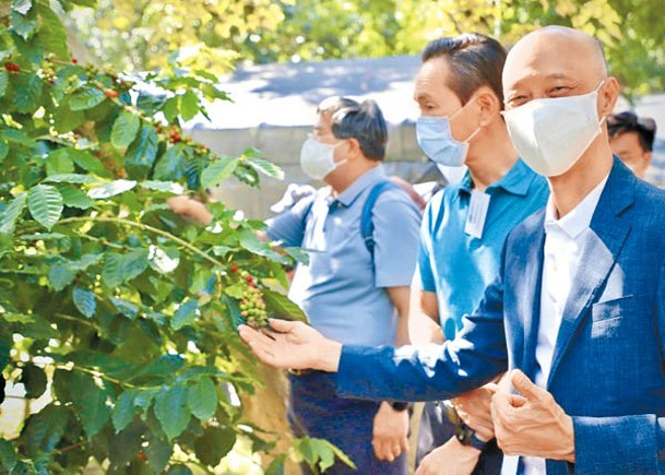 黃錦星（右）話荔枝窩出產香港咖啡豆，係復育偏遠鄉郊嘅里程碑。