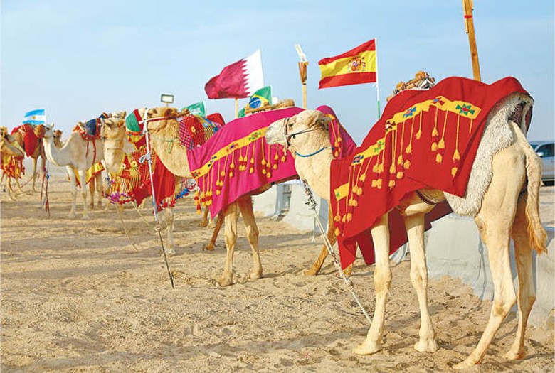 大批球迷湧到沙漠觀光，以及體驗騎駱駝，令駱駝工作量大增。