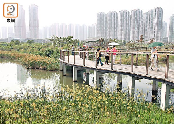 天水圍濕地公園一處泥灘日前發現帶有H5禽流感病毒黑臉琵鷺屍體。