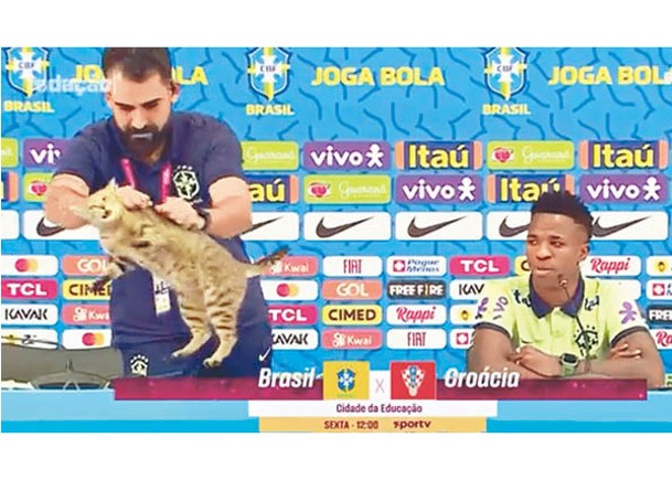 巴西足總官員掟貓 嚇親記者