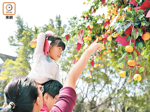 兔年將至，市民可在許願節時到林村拋寶牒、祈福許願。