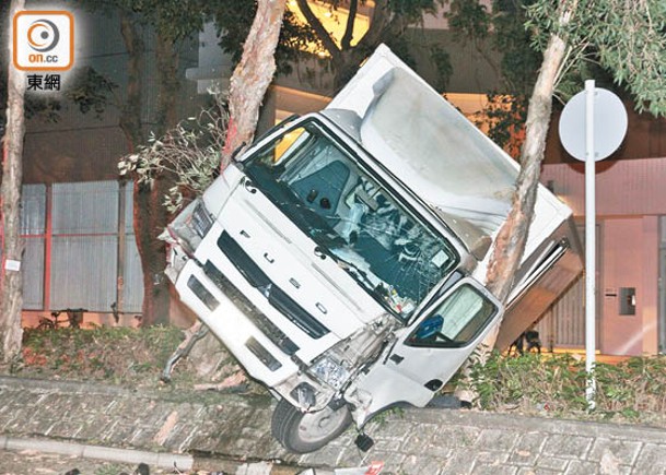 涉事貨車剷壆後夾在兩棵大樹之間。（楊日權攝）