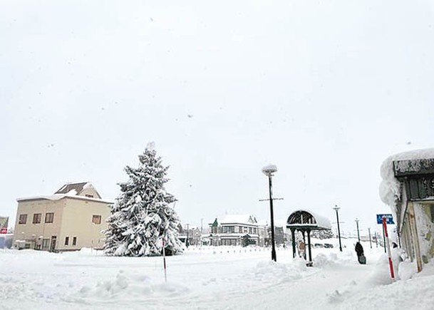 北海道多地的地上已布滿積雪。（美瑛町觀光協會）