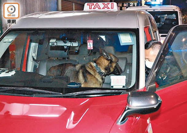 警犬協助搜查的士。