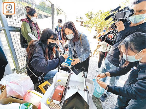 去年主人送倉鼠到漁農自然護理署人道毀滅。