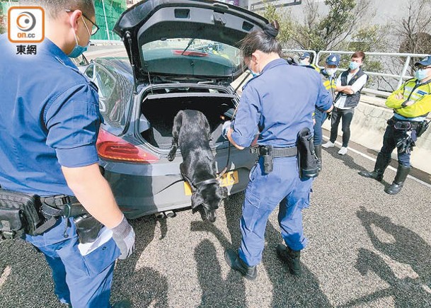 警犬協助搜車。