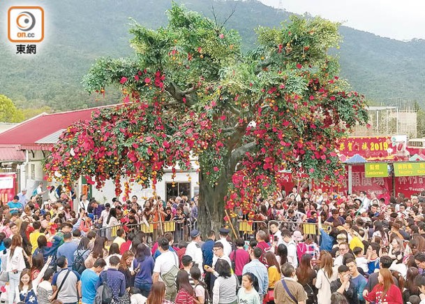 過往農曆新年均有大批市民到林村拋寶牒祈福。