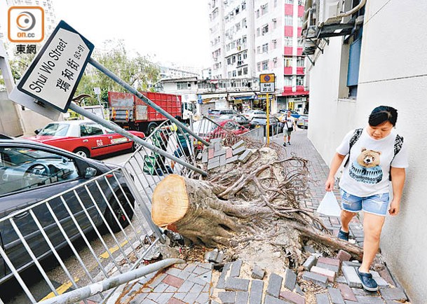 代表戰爭及是非的「三碧」在東南，今年需要留意超級颱風、塌樹等天災。