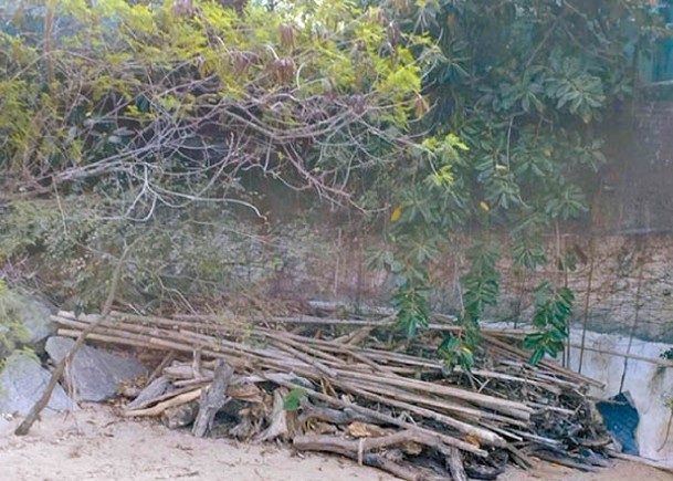 青龍頭怡龍別墅附近沙灘有垃圾未清。