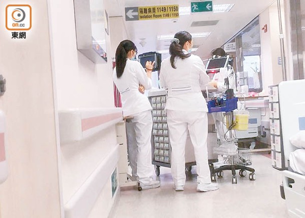 香港護士協會期望港府保障本地護士的就業機會。