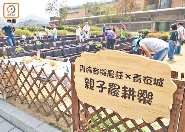 青衣城與「香港青年協會有機農莊」合作，讓市民體驗在市區天台耕種。