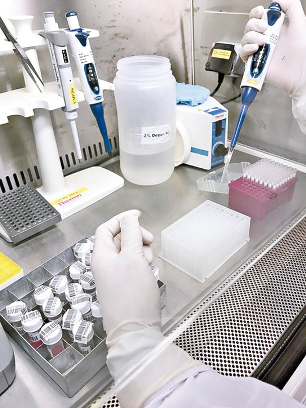 傳統「滴滴仔」核酸檢測需要人手處理6大程序。