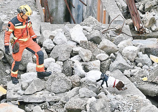 消防處模擬更真實的坍塌災場環境，讓搜救犬多做干擾訓練。