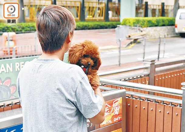 狗主陳先生認為寵物公園附近應豎立路標，提醒駕駛人士。